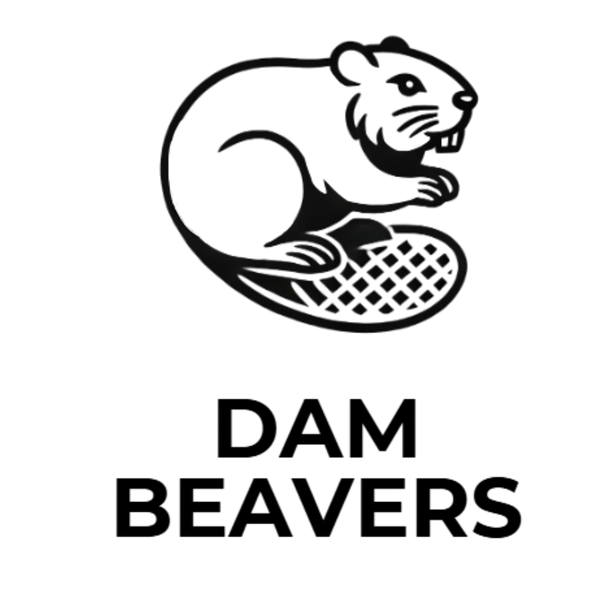 Dam Beavers